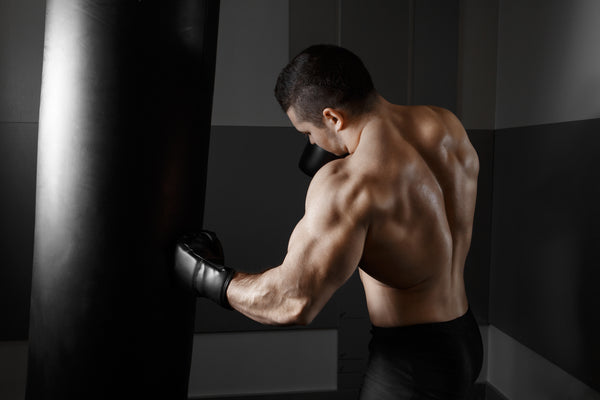 Overprotected Boxer Why Boxers have better lifestyles? - Stealth Sports